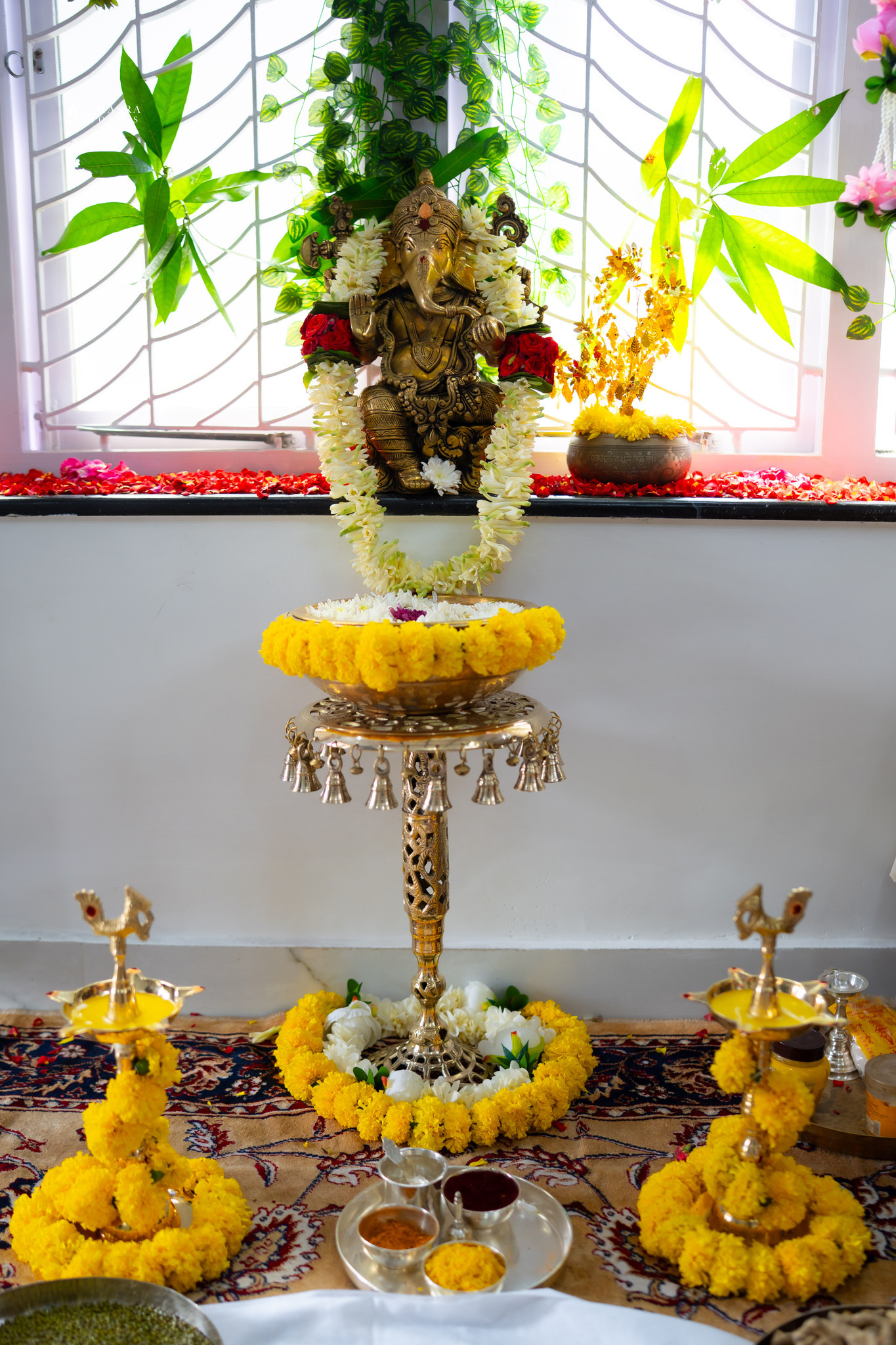 DSC05204.jpg